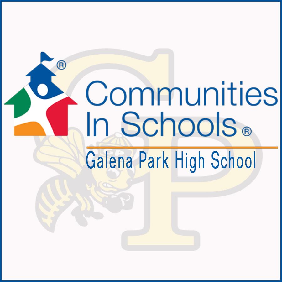  Communniites In School